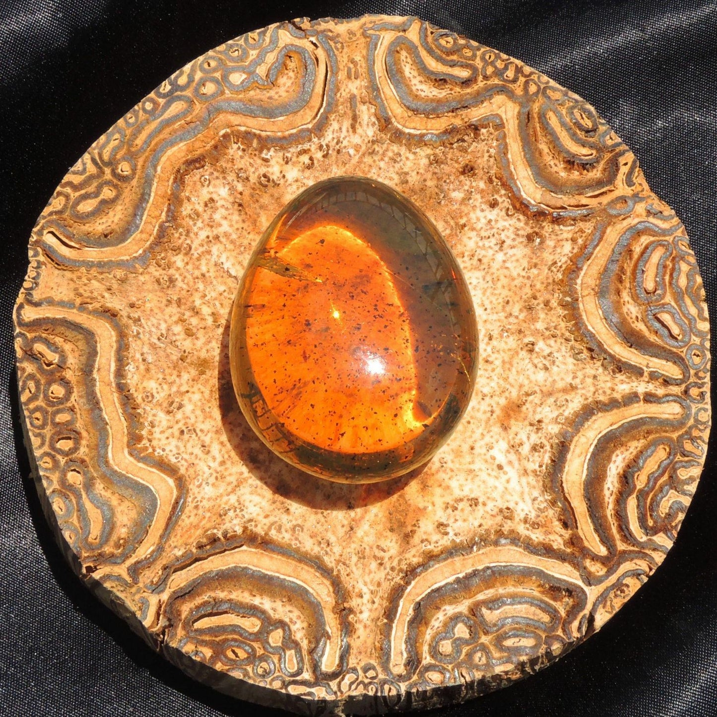 Fully Polished Mexican Amber Cab 25.3 g
