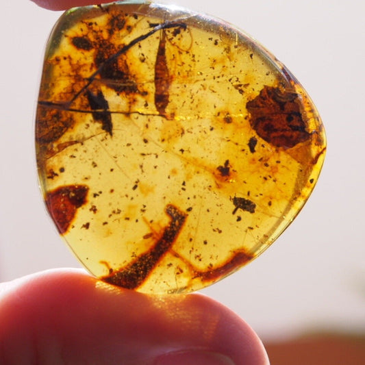 Mexican Amber with Silverfish Inclusion 7.8 g