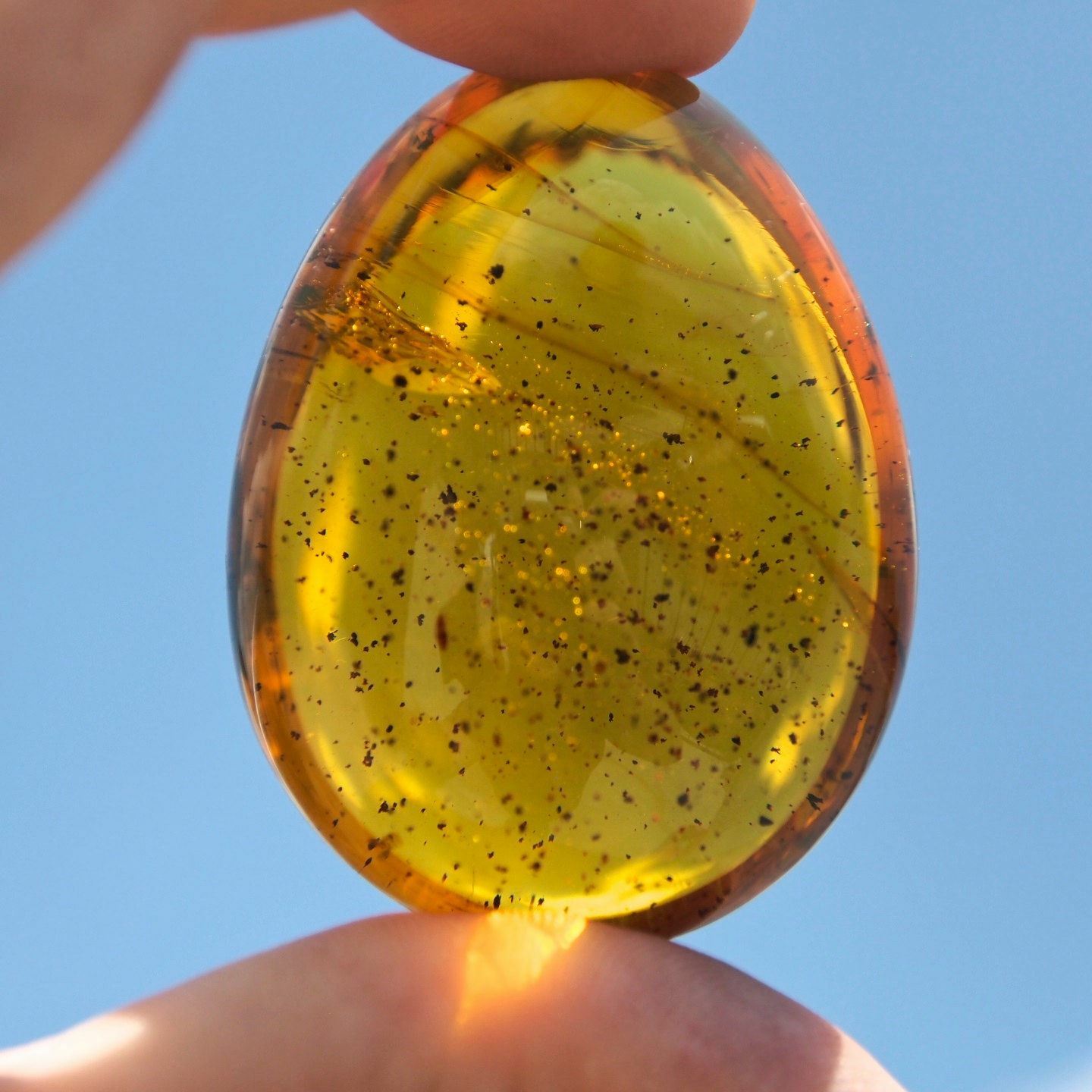 Fully Polished Mexican Amber Cab 25.3 g